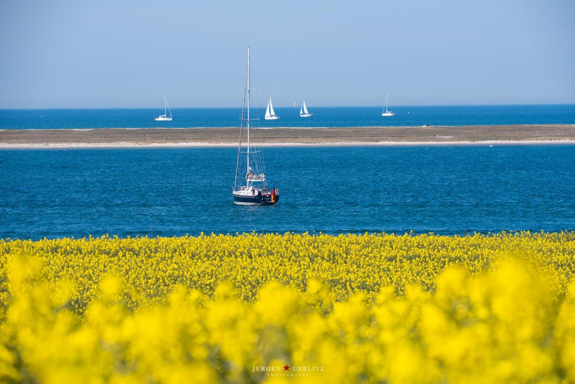 Treibhaus Lejlighed Büsum Eksteriør billede